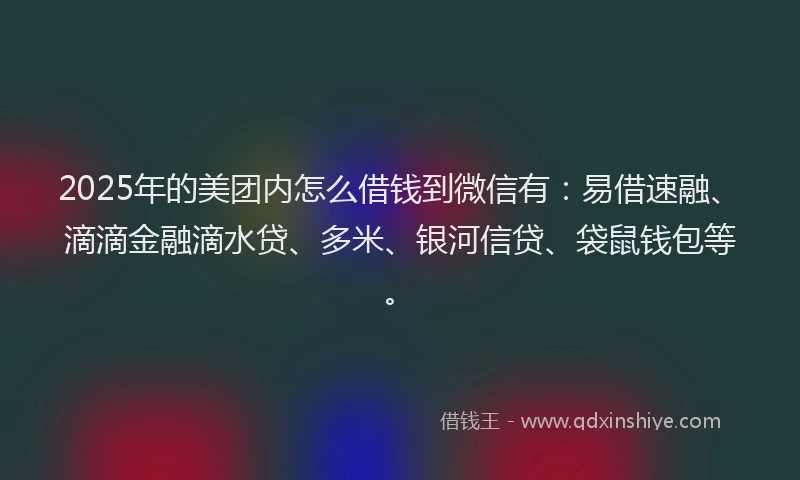 2025年的美团内怎么借钱到微信有：易借速融、滴滴金融滴水贷、多米、银河信贷、袋鼠钱包等。