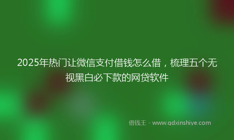 2025年热门让微信支付借钱怎么借，梳理五个无视黑白必下款的网贷软件