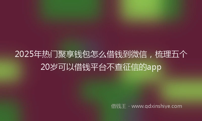 2025年热门聚享钱包怎么借钱到微信，梳理五个20岁可以借钱平台不查征信的app