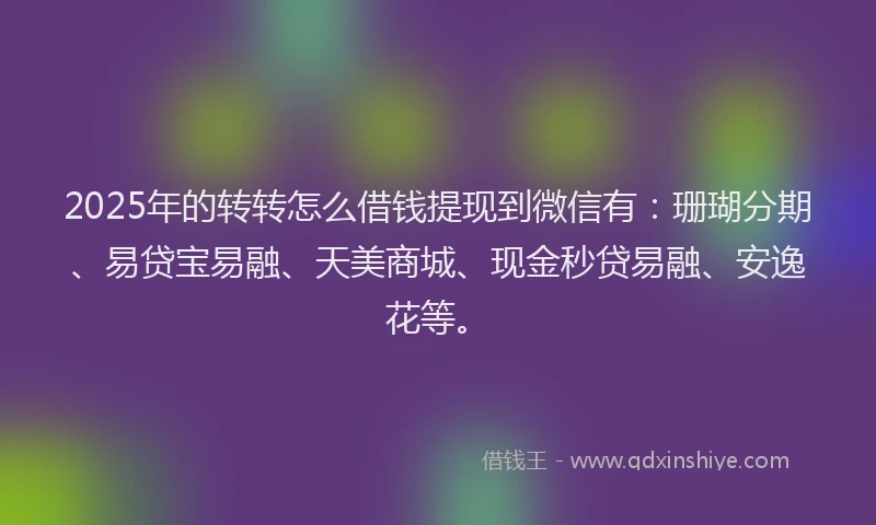 2025年的转转怎么借钱提现到微信有：珊瑚分期、易贷宝易融、天美商城、现金秒贷易融、安逸花等。