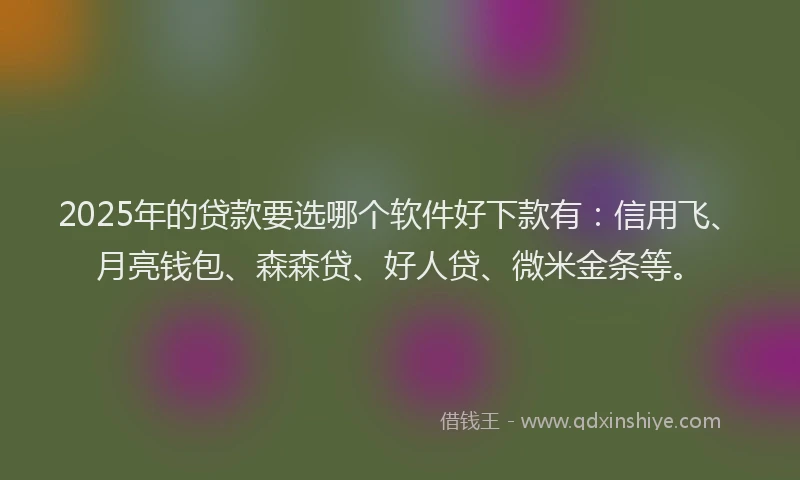 2025年的贷款要选哪个软件好下款有：信用飞、月亮钱包、森森贷、好人贷、微米金条等。