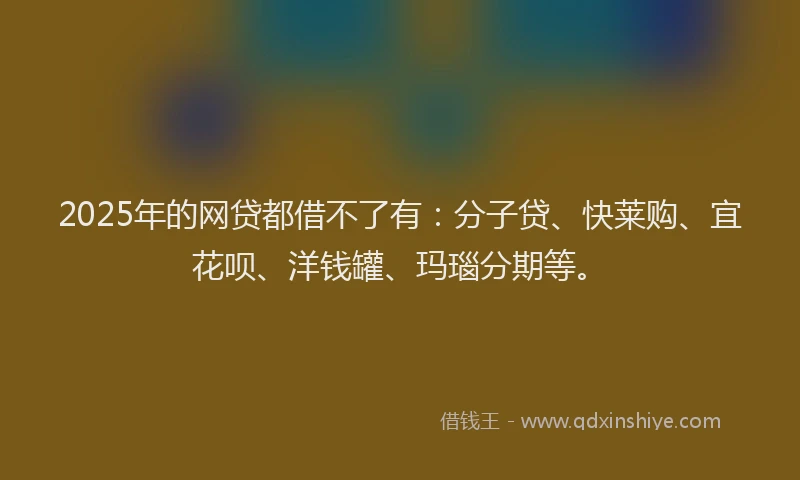 2025年的网贷都借不了有：分子贷、快莱购、宜花呗、洋钱罐、玛瑙分期等。