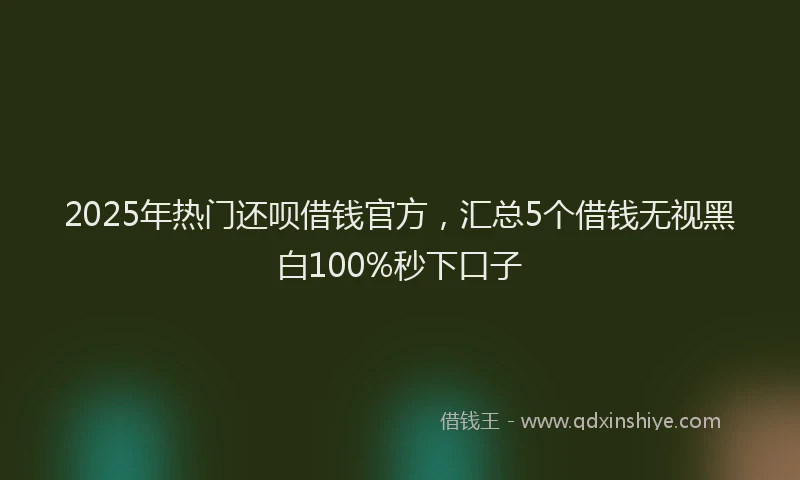 2025年热门还呗借钱官方，汇总5个借钱无视黑白100%秒下口子