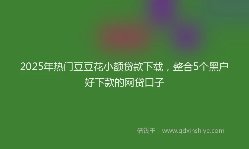 2025年热门豆豆花小额贷款下载，整合5个黑户好下款的网贷口子