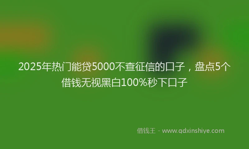 2025年热门能贷5000不查征信的口子，盘点5个借钱无视黑白100%秒下口子