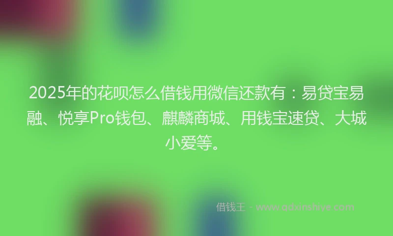 2025年的花呗怎么借钱用微信还款有：易贷宝易融、悦享Pro钱包、麒麟商城、用钱宝速贷、大城小爱等。