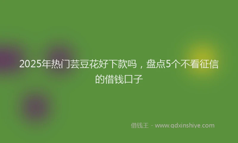 2025年热门芸豆花好下款吗，盘点5个不看征信的借钱口子