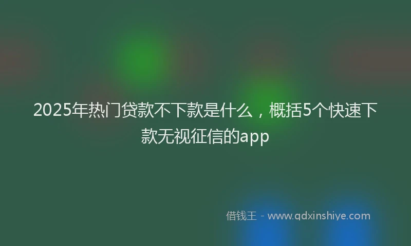 2025年热门贷款不下款是什么，概括5个快速下款无视征信的app