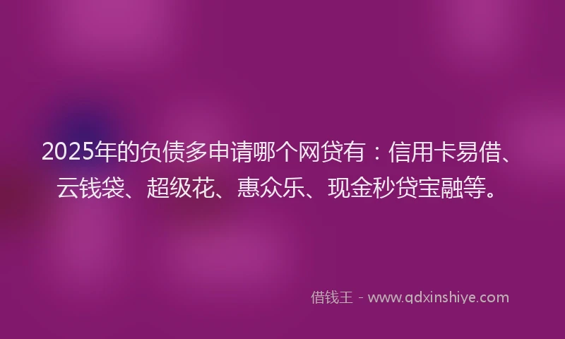 2025年的负债多申请哪个网贷有：信用卡易借、云钱袋、超级花、惠众乐、现金秒贷宝融等。
