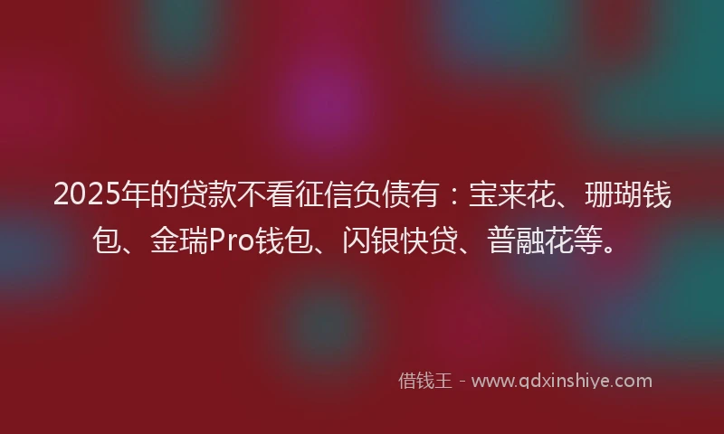 2025年的贷款不看征信负债有：宝来花、珊瑚钱包、金瑞Pro钱包、闪银快贷、普融花等。