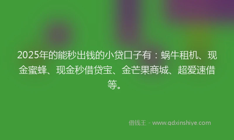 2025年的能秒出钱的小贷口子有：蜗牛租机、现金蜜蜂、现金秒借贷宝、金芒果商城、超爱速借等。