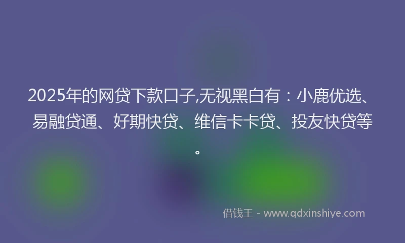 2025年的网贷下款口子,无视黑白有：小鹿优选、易融贷通、好期快贷、维信卡卡贷、投友快贷等。