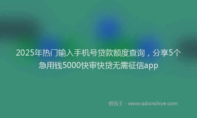 2025年热门输入手机号贷款额度查询，分享5个急用钱5000快审快贷无需征信app