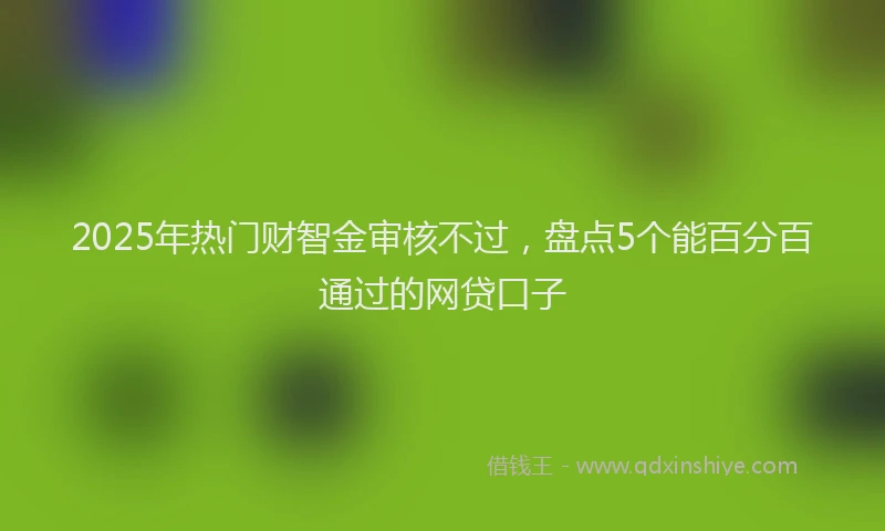 2025年热门财智金审核不过，盘点5个能百分百通过的网贷口子