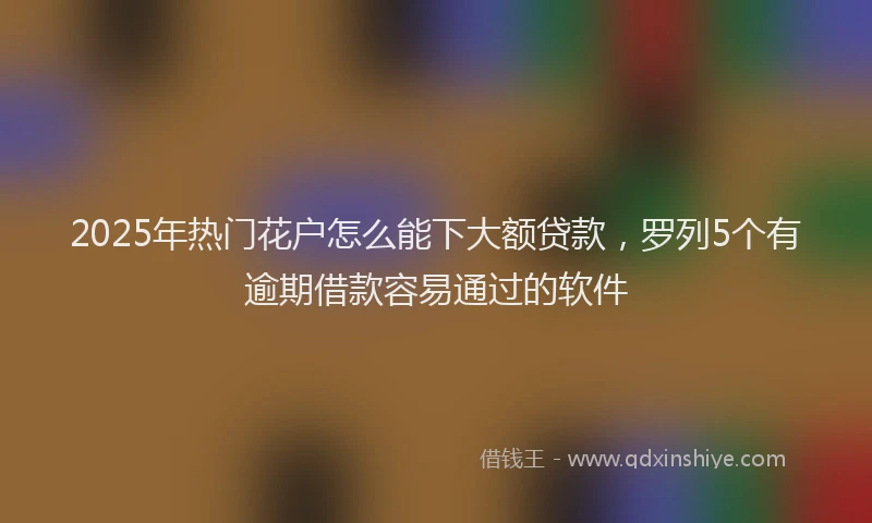 2025年热门花户怎么能下大额贷款，罗列5个有逾期借款容易通过的软件