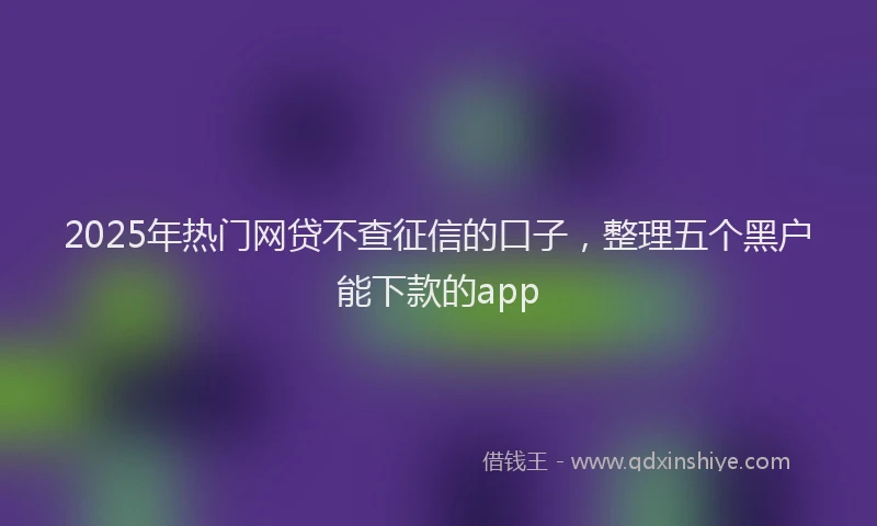 2025年热门网贷不查征信的口子，整理五个黑户能下款的app