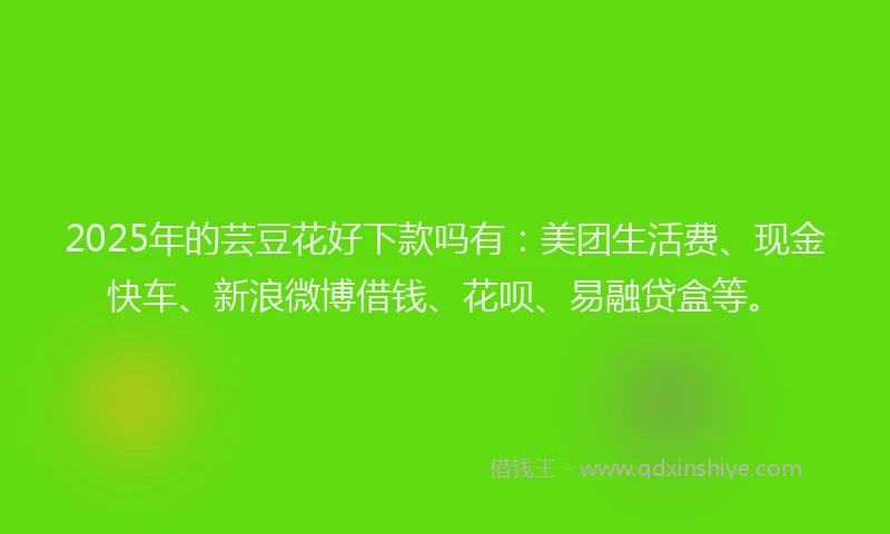 2025年的芸豆花好下款吗有：美团生活费、现金快车、新浪微博借钱、花呗、易融贷盒等。
