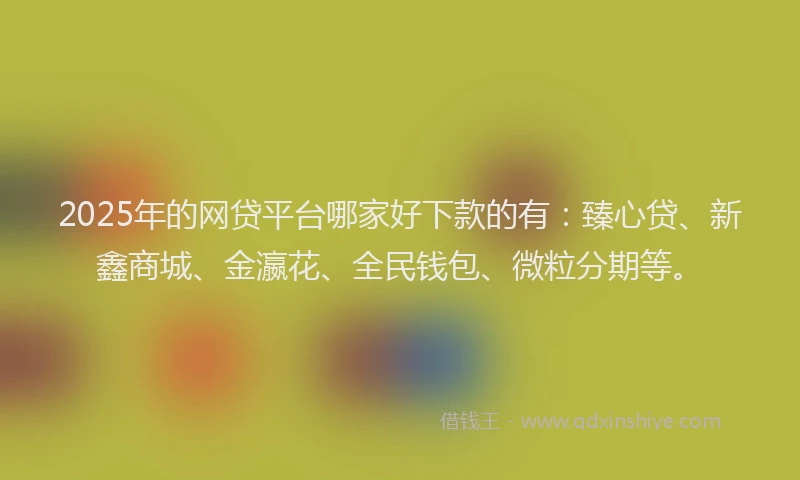 2025年的网贷平台哪家好下款的有：臻心贷、新鑫商城、金瀛花、全民钱包、微粒分期等。