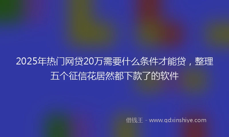 2025年热门网贷20万需要什么条件才能贷，整理五个征信花居然都下款了的软件