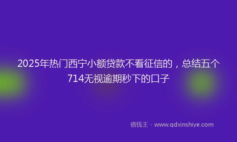 2025年热门西宁小额贷款不看征信的，总结五个714无视逾期秒下的口子