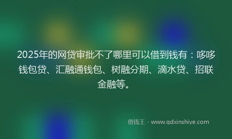 2025年的网贷审批不了哪里可以借到钱有：哆哆钱包贷、汇融通钱包、树融分期、滴水贷、招联金融等。