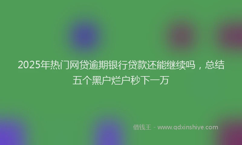 2025年热门网贷逾期银行贷款还能继续吗，总结五个黑户烂户秒下一万