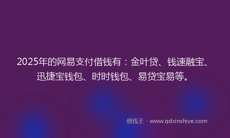 2025年的网易支付借钱有：金叶贷、钱速融宝、迅捷宝钱包、时时钱包、易贷宝易等。