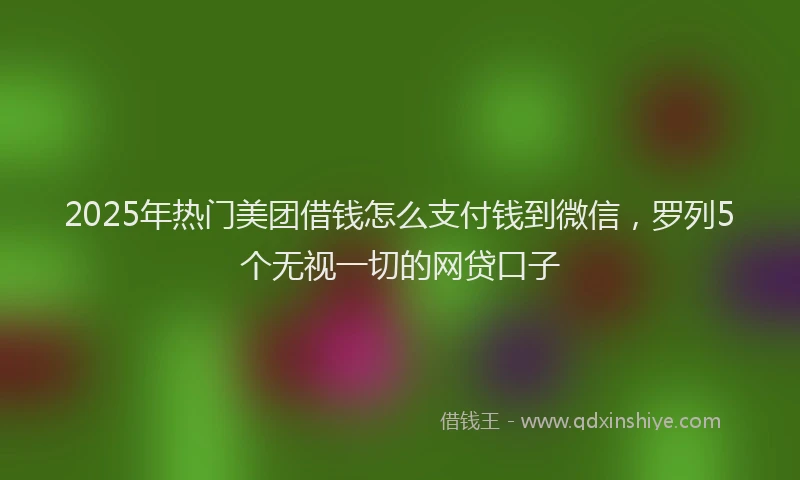 2025年热门美团借钱怎么支付钱到微信，罗列5个无视一切的网贷口子