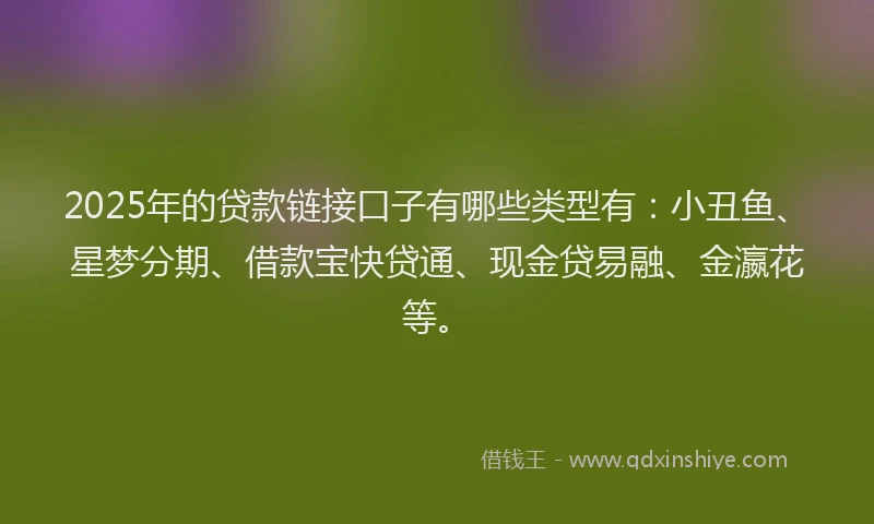 2025年的贷款链接口子有哪些类型有：小丑鱼、星梦分期、借款宝快贷通、现金贷易融、金瀛花等。
