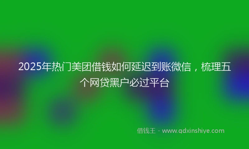 2025年热门美团借钱如何延迟到账微信，梳理五个网贷黑户必过平台