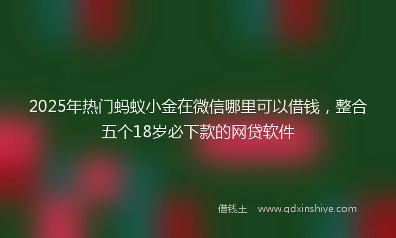 2025年热门蚂蚁小金在微信哪里可以借钱，整合五个18岁必下款的网贷软件
