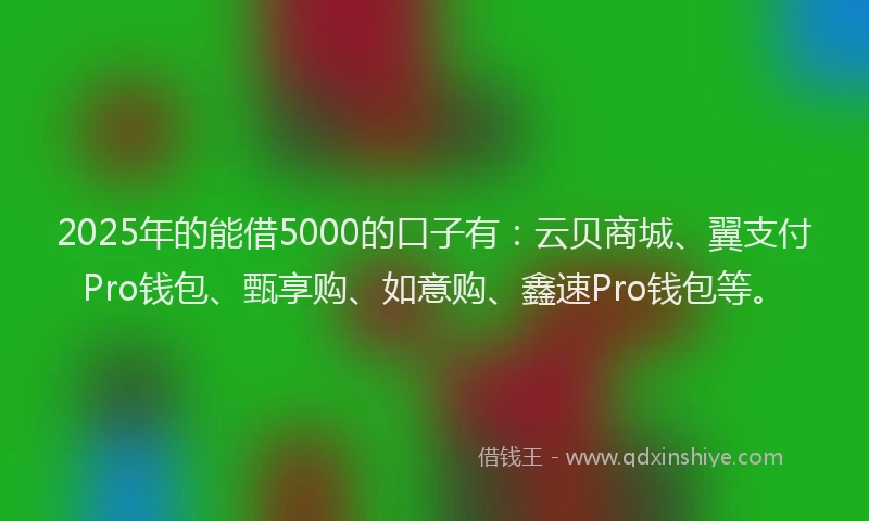 2025年的能借5000的口子有：云贝商城、翼支付Pro钱包、甄享购、如意购、鑫速Pro钱包等。