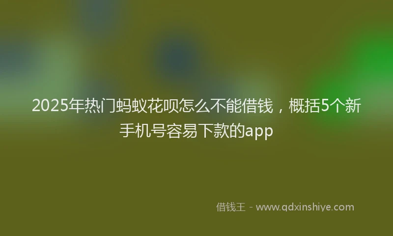 2025年热门蚂蚁花呗怎么不能借钱，概括5个新手机号容易下款的app