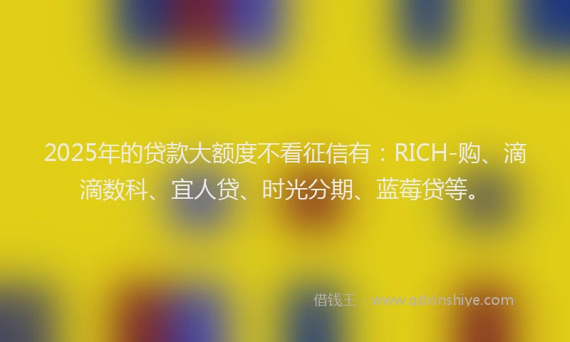 2025年的贷款大额度不看征信有：RICH-购、滴滴数科、宜人贷、时光分期、蓝莓贷等。