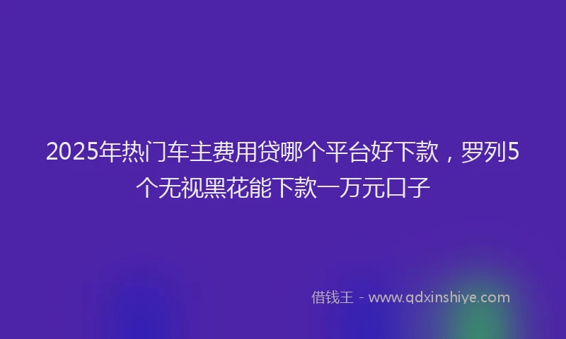 2025年热门车主费用贷哪个平台好下款，罗列5个无视黑花能下款一万元口子