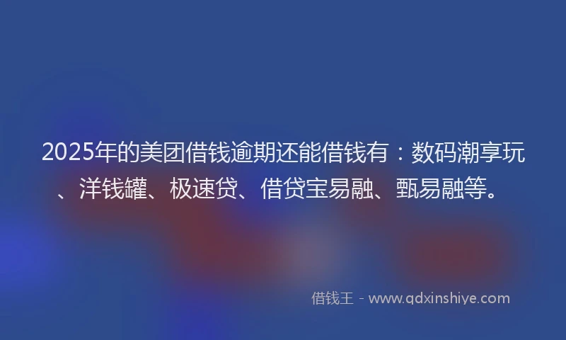 2025年的美团借钱逾期还能借钱有：数码潮享玩、洋钱罐、极速贷、借贷宝易融、甄易融等。
