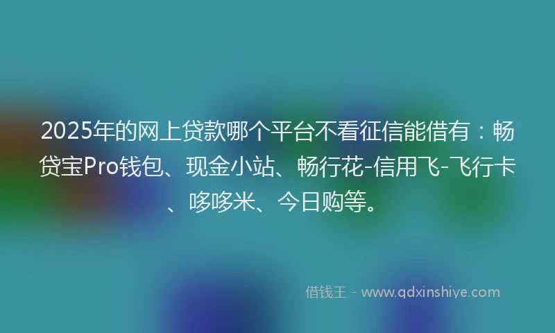 2025年的网上贷款哪个平台不看征信能借有：畅贷宝Pro钱包、现金小站、畅行花-信用飞-飞行卡、哆哆米、今日购等。