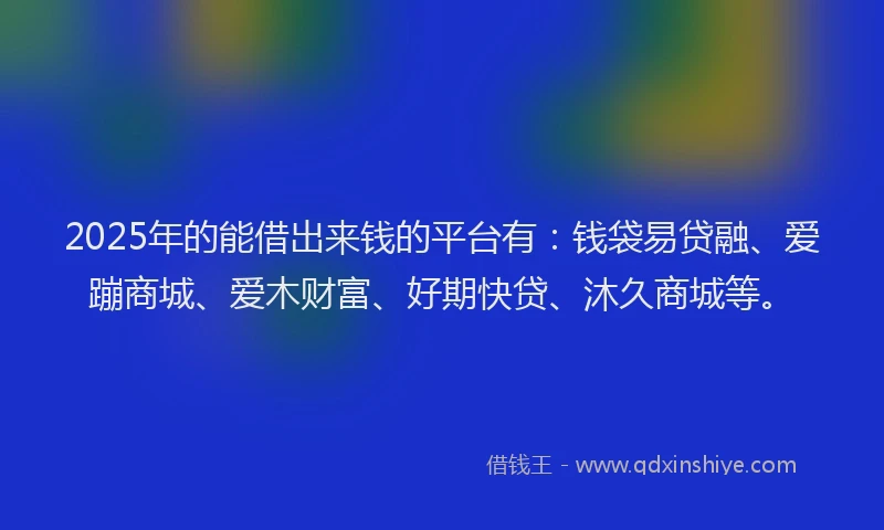 2025年的能借出来钱的平台有：钱袋易贷融、爱蹦商城、爱木财富、好期快贷、沐久商城等。