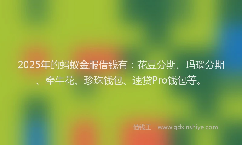 2025年的蚂蚁金服借钱有：花豆分期、玛瑙分期、牵牛花、珍珠钱包、速贷Pro钱包等。