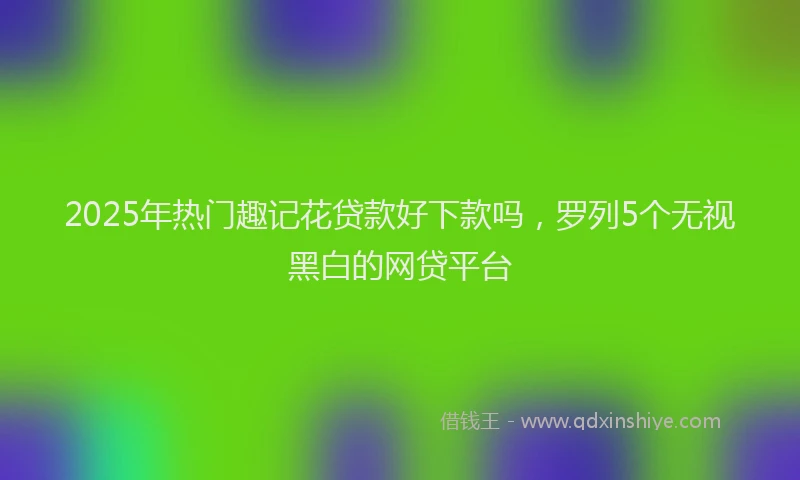 2025年热门趣记花贷款好下款吗，罗列5个无视黑白的网贷平台