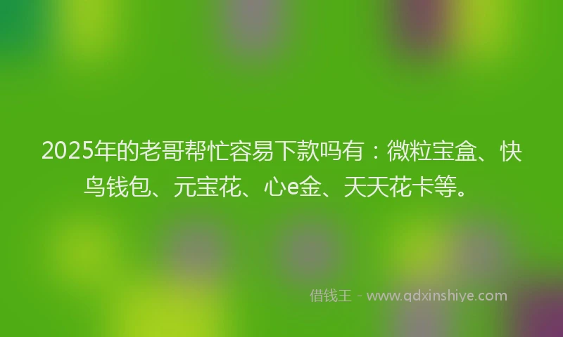 2025年的老哥帮忙容易下款吗有：微粒宝盒、快鸟钱包、元宝花、心e金、天天花卡等。