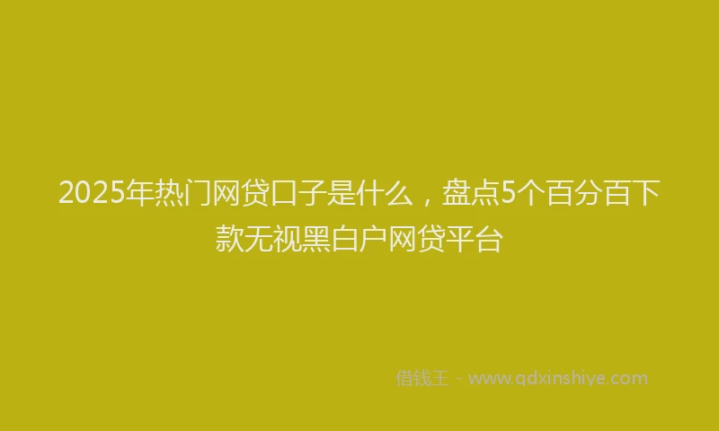 2025年热门网贷口子是什么，盘点5个百分百下款无视黑白户网贷平台