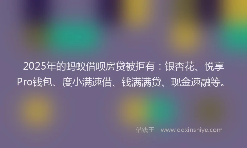 2025年的蚂蚁借呗房贷被拒有：银杏花、悦享Pro钱包、度小满速借、钱满满贷、现金速融等。