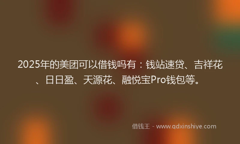 2025年的美团可以借钱吗有：钱站速贷、吉祥花、日日盈、天源花、融悦宝Pro钱包等。