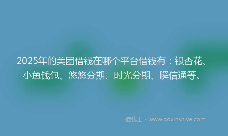 2025年的美团借钱在哪个平台借钱有：银杏花、小鱼钱包、悠悠分期、时光分期、瞬信通等。