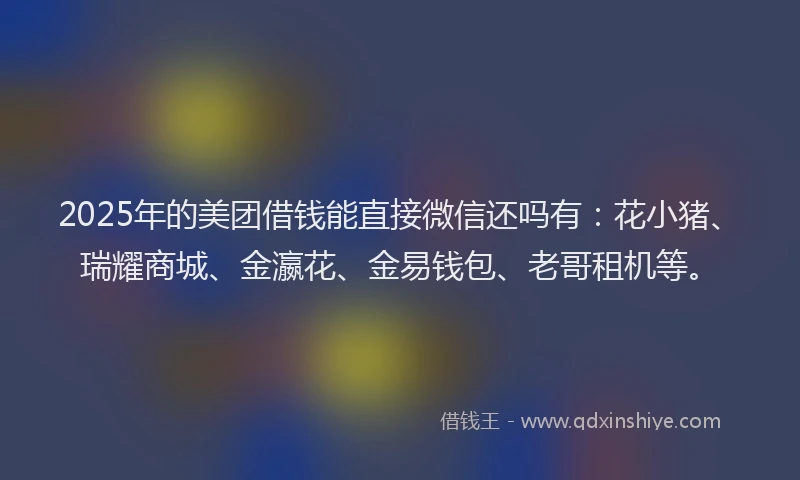 2025年的美团借钱能直接微信还吗有：花小猪、瑞耀商城、金瀛花、金易钱包、老哥租机等。