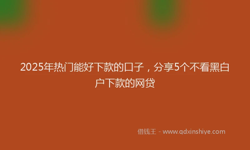 2025年热门能好下款的口子，分享5个不看黑白户下款的网贷