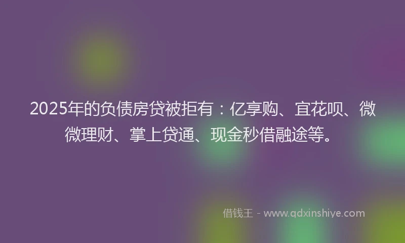 2025年的负债房贷被拒有：亿享购、宜花呗、微微理财、掌上贷通、现金秒借融途等。