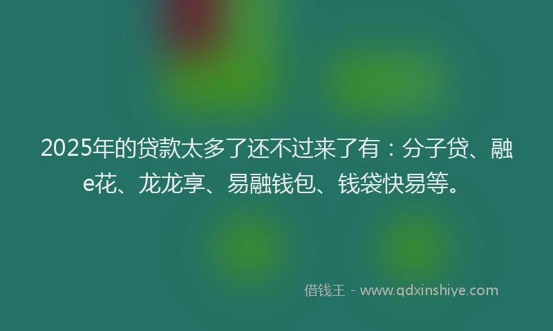 2025年的贷款太多了还不过来了有：分子贷、融e花、龙龙享、易融钱包、钱袋快易等。