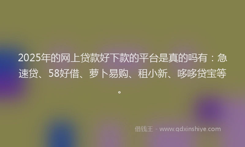 2025年的网上贷款好下款的平台是真的吗有：急速贷、58好借、萝卜易购、租小新、哆哆贷宝等。